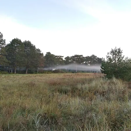 10 Person In Vaeggerlose-by Traum Vakantiehuis Bøtø By